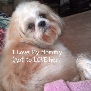 Meet your Posher, Gail